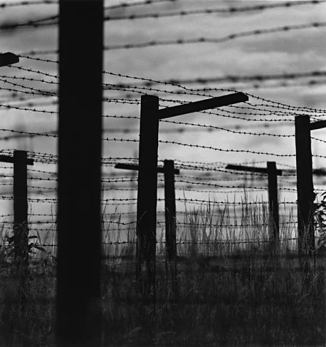 Barbed Wire Fence Minimalist High Contrast Mysterious Nature