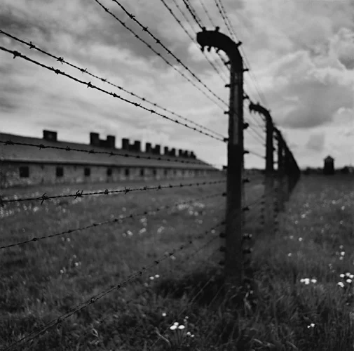 Barbed Wire Fence Prison Camp Ruins Dramatic High Contrast Mysterious
