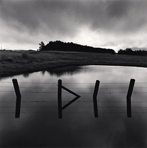 Barbed Wire Fence Reflective Water Landscape Dramatic Moody Atmospheric