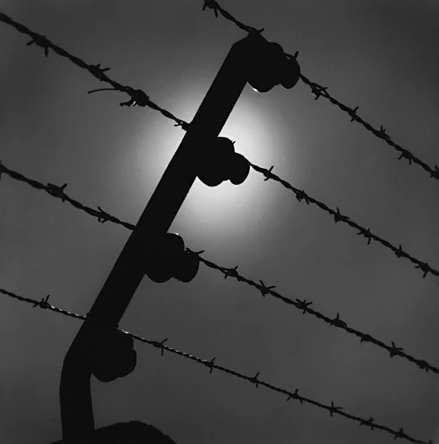 Barbed Wire Fence Silhouette High Contrast Dramatic Mysterious