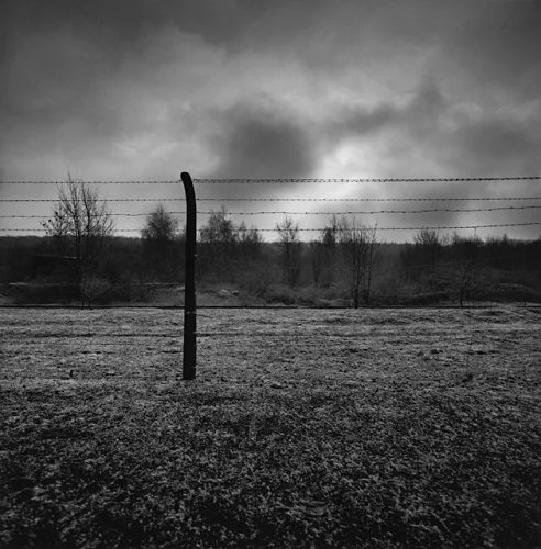 Barbed Wire Fence Winter Landscape Dramatic High Contrast Mysterious