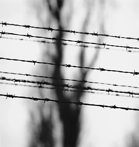 Barbed Wire Minimalist High Contrast Mysterious Nature