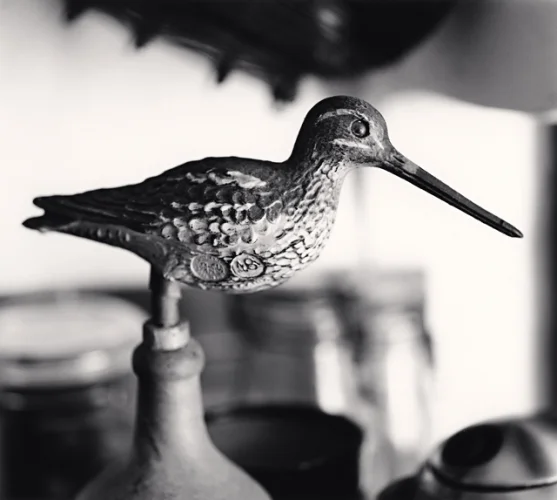 Bird Statue Textured High Contrast Mysterious