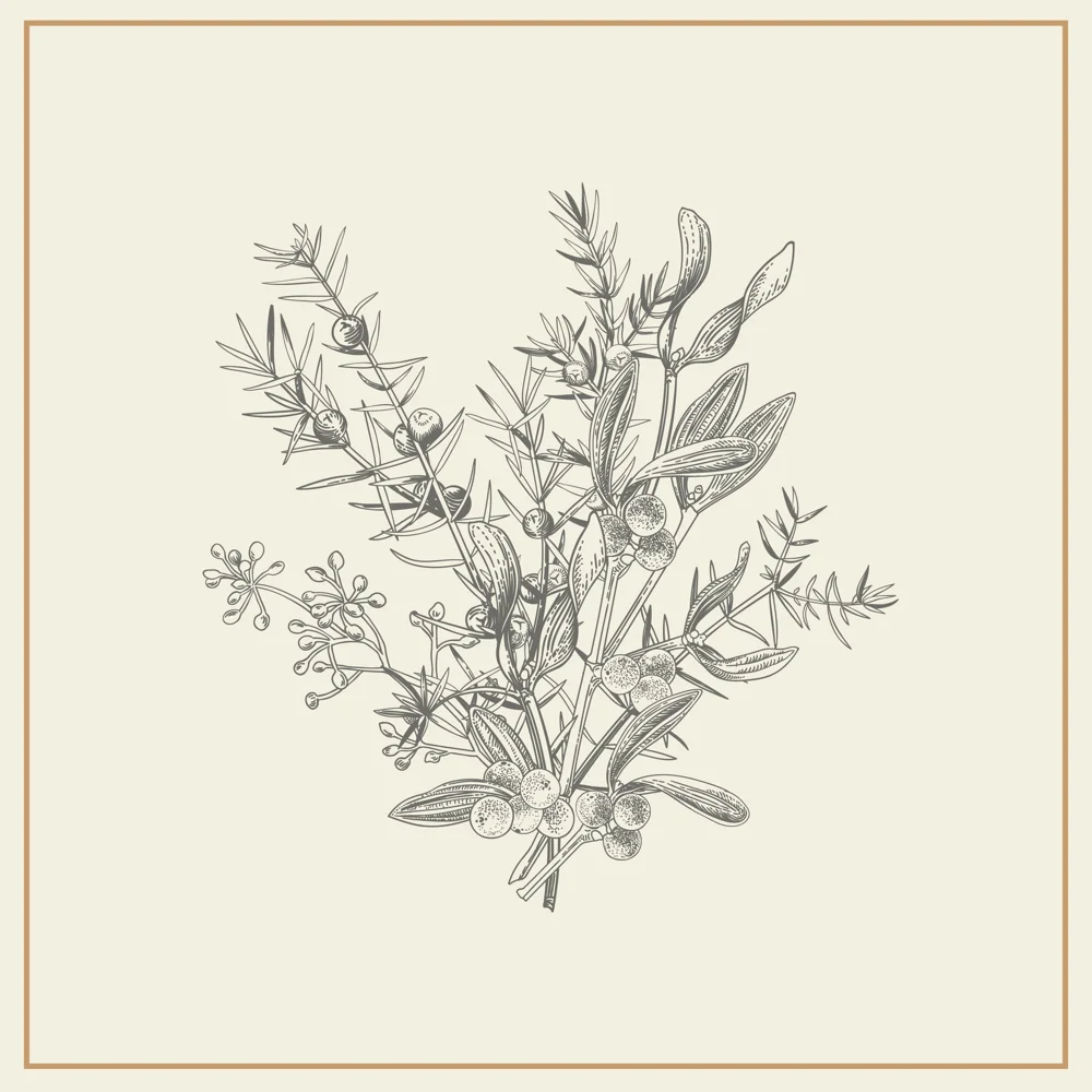 Black and White Botanical Line Art Leaves and Berries