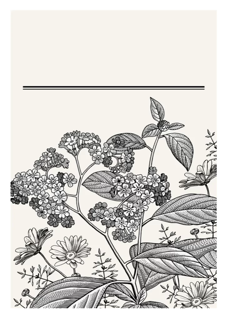 Black and White Botanical Line Illustration Engraving