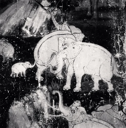 Black and white elephants textured high contrast timeless mysterious