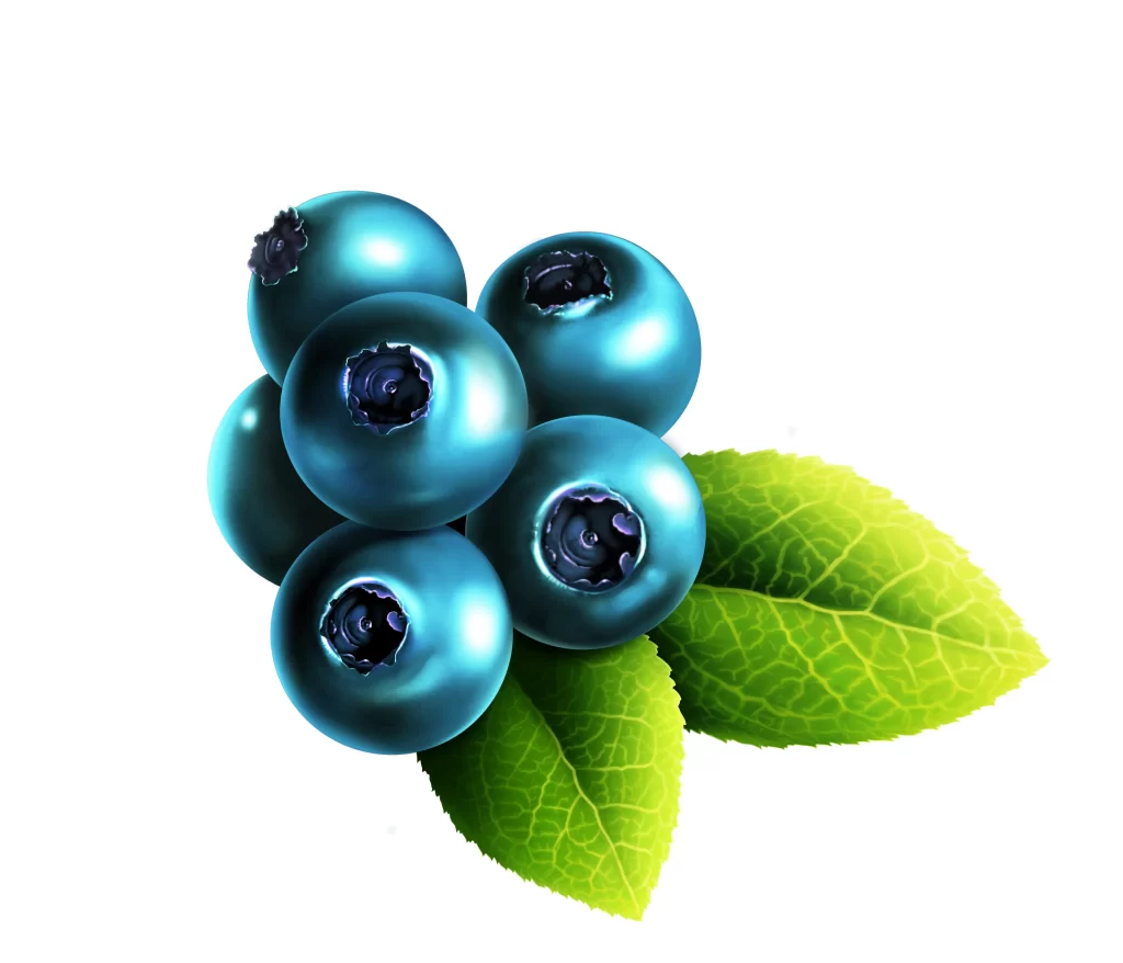 Blueberries Fresh Green Leaves Blue Food
