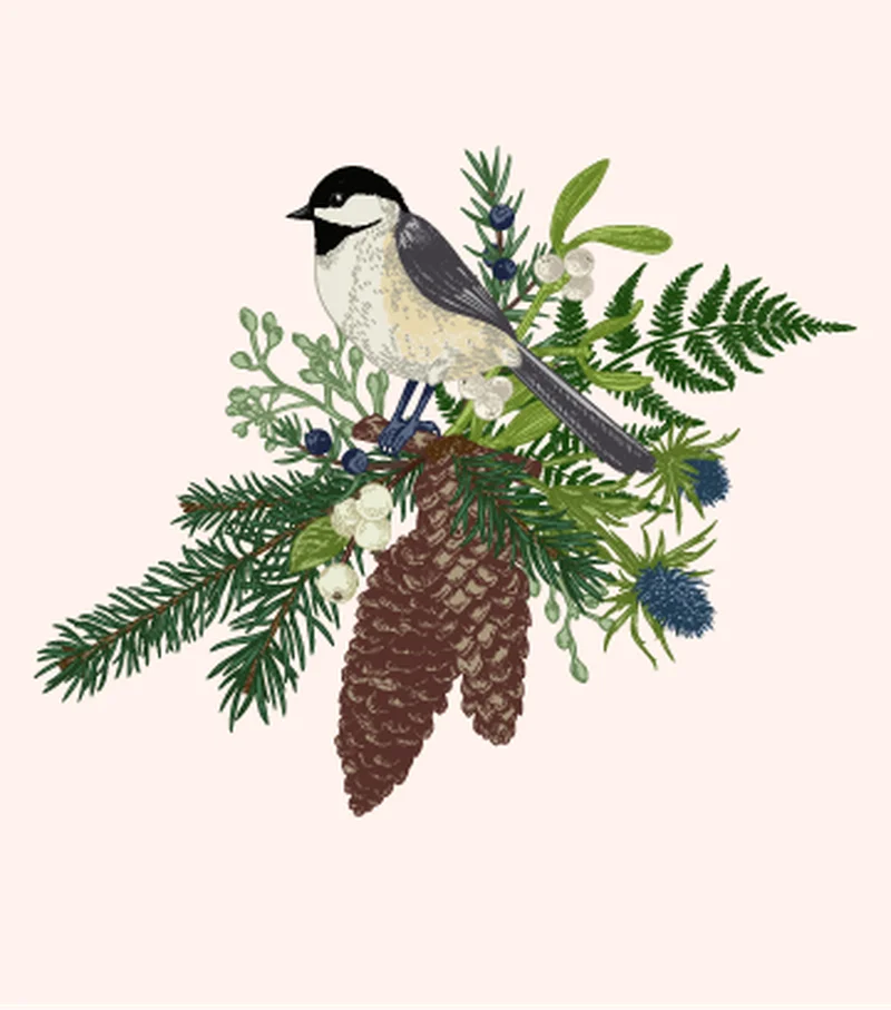 Botanical bird illustration titmouse pine cones fern