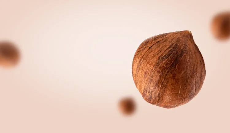 Brown Nuts Floating Soft Focus