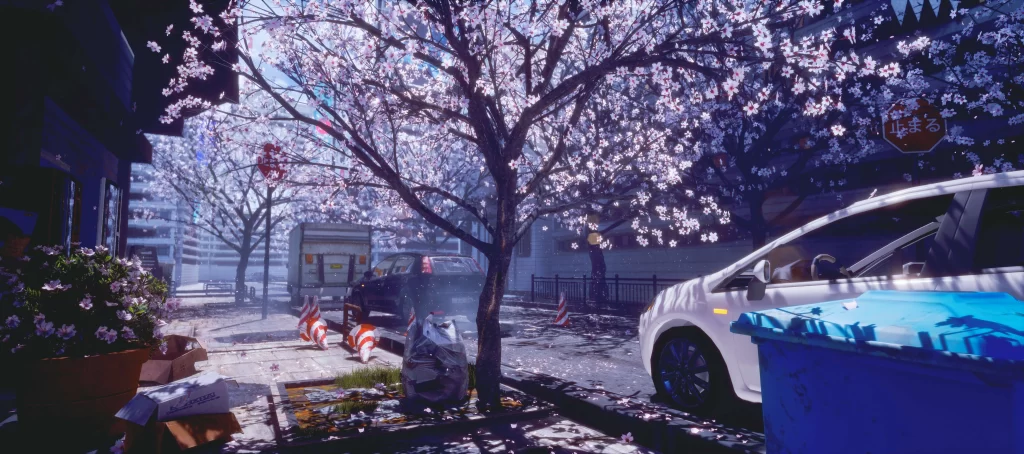 Cherry Blossom Trees Blue And White