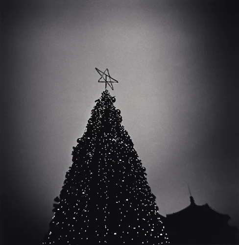 Christmas Tree Starry Minimalist High Contrast Mysterious
