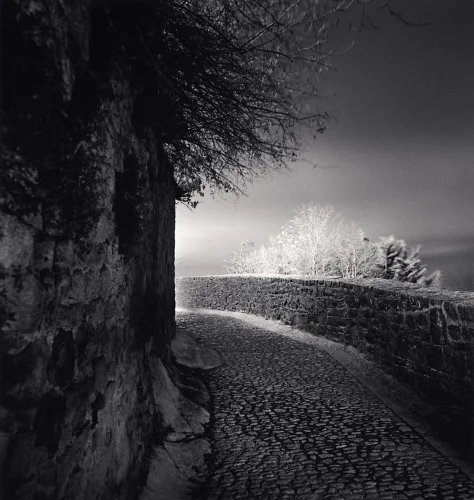 Cobblestone Pathway Dramatic Textured High Contrast Mysterious Nature