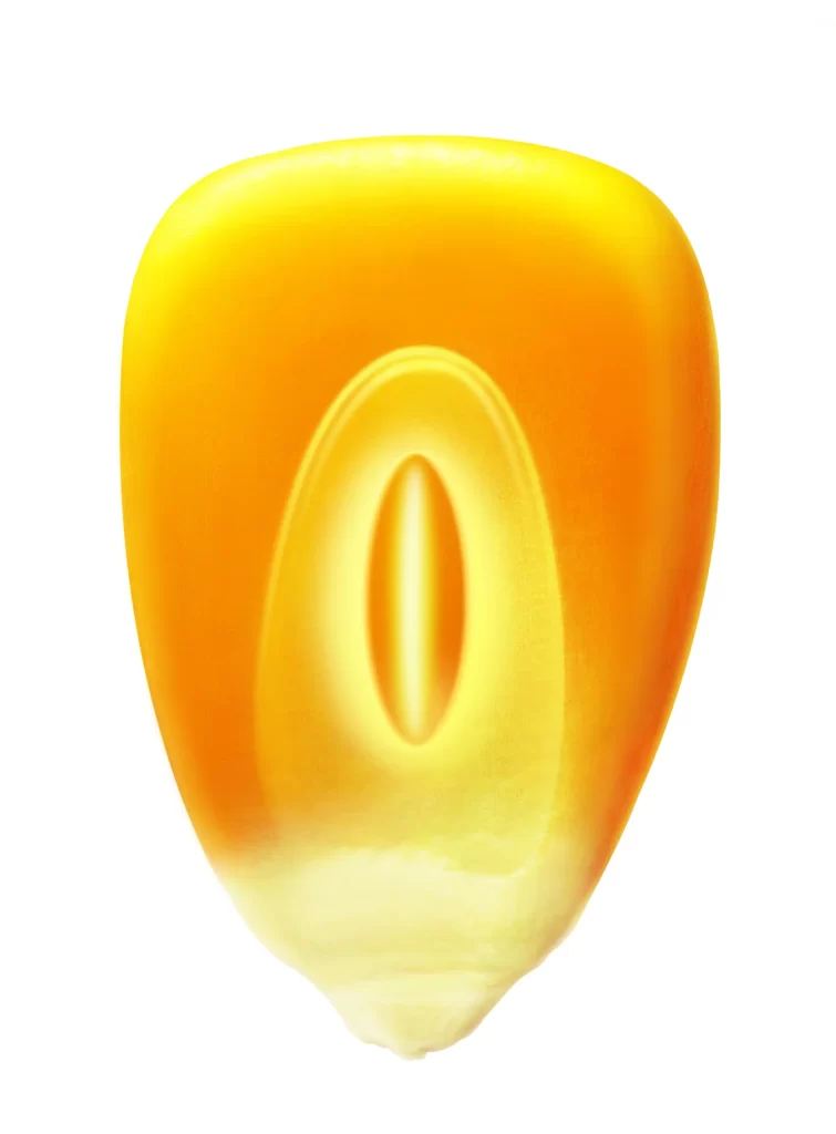 Cosmetics Cream Tube Yellow Gradient Smooth