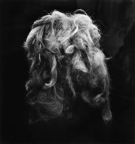 Curly Hair High Contrast Dramatic Textured Portrait