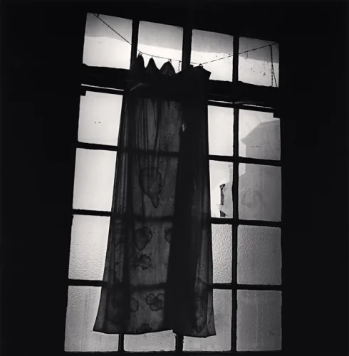 Curtain Window Patterned Textured High Contrast Mysterious