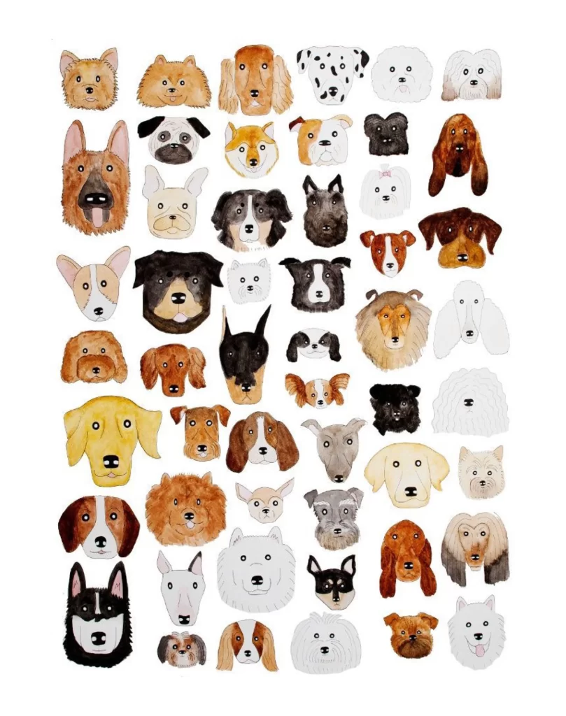 Dog Faces Colorful Diverse Expressive