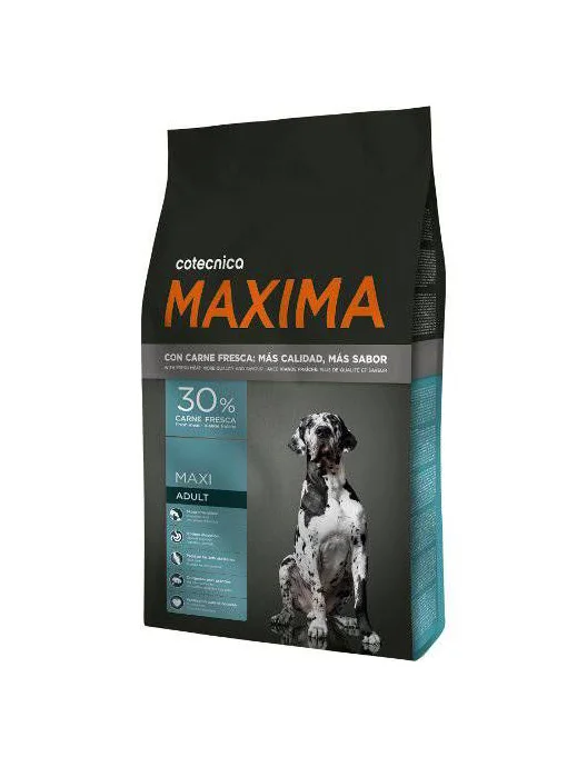 Dog Food Black Orange Branding