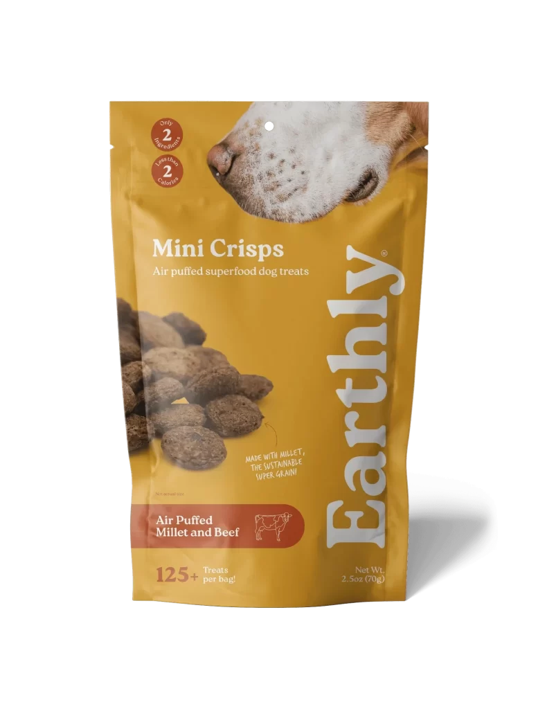 Dog Treats Yellow Brown Natural