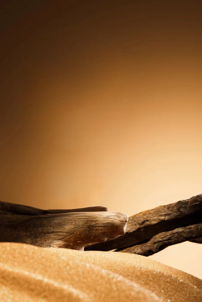 Driftwood Sandy Beach Warm Tones Natural