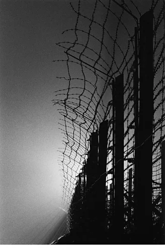 Fence Barbed Wire Silhouette High Contrast Dramatic Mysterious