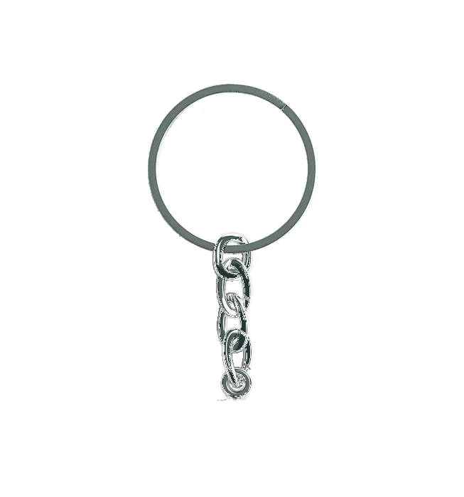 Keychain Silver Chain Black Ring