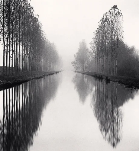 Foggy Canal Trees Reflective Dramatic Atmospheric Nature