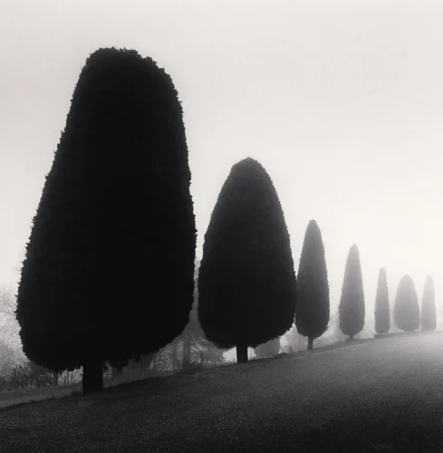 Foggy Dramatic Minimalist High Contrast Mysterious Nature