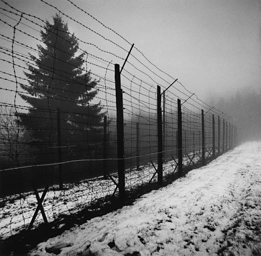 Foggy Fence Barren Tree Winter Landscape Mysterious