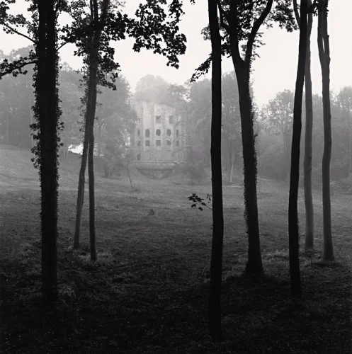 Foggy Forest Dramatic Atmospheric Mysterious Nature