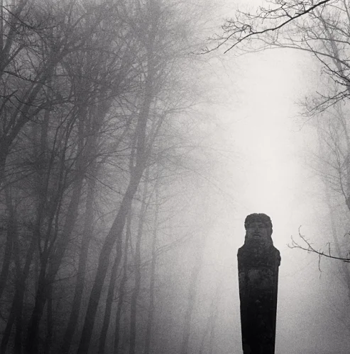Foggy Forest Statue Dramatic Mysterious Atmospheric