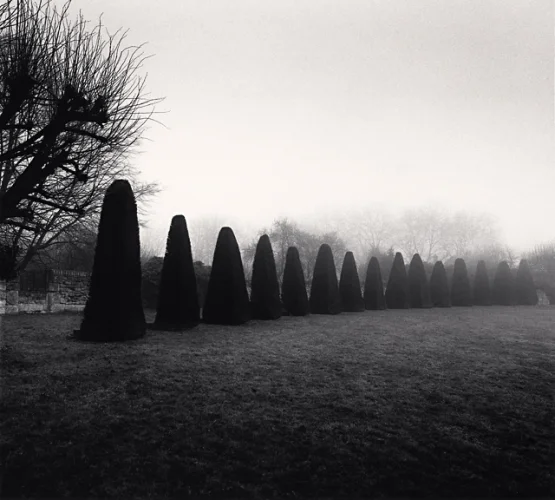 Foggy Landscape Dramatic Textured High Contrast Mysterious Atmospheric