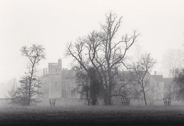 Foggy Mansion Trees Dramatic Atmospheric Mysterious Nature