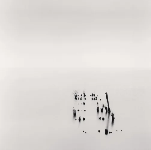 Foggy Minimalist High Contrast Mysterious Nature