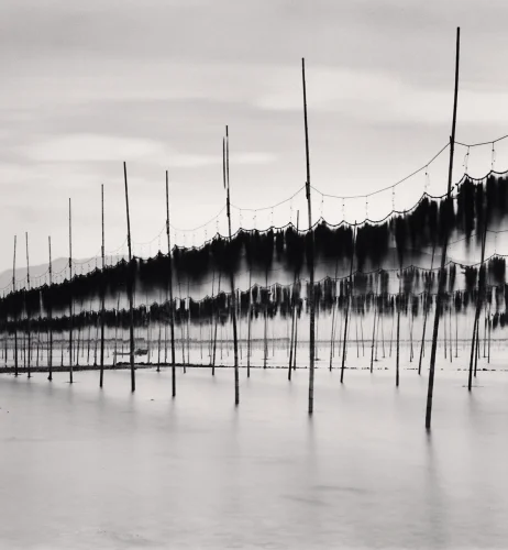 Foggy Minimalist High Contrast Mysterious Atmospheric Nature