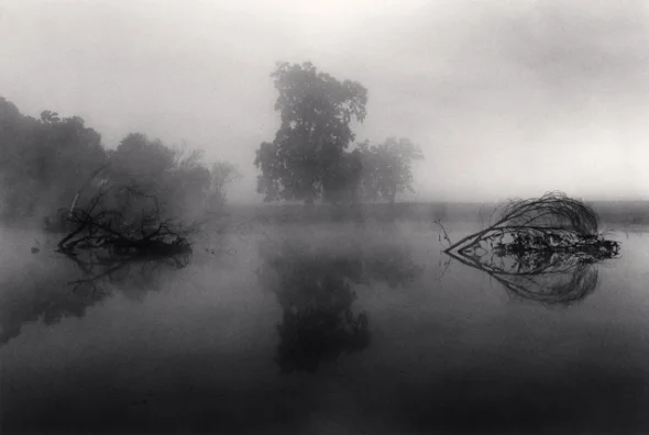 Foggy Nature Dramatic Atmospheric Mysterious High Contrast