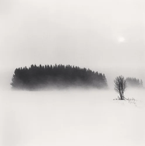 Foggy Nature Dramatic Atmospheric Minimalist