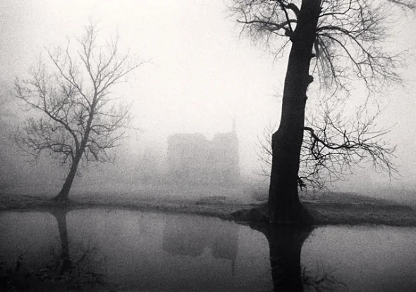 Foggy Nature Dramatic High Contrast Mysterious Atmospheric