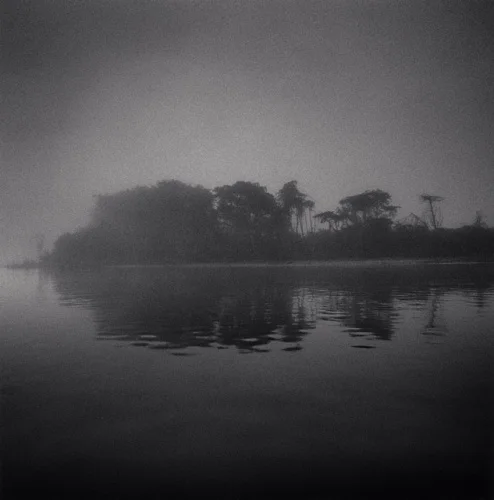 Foggy Nature Dramatic Textured High Contrast Mysterious