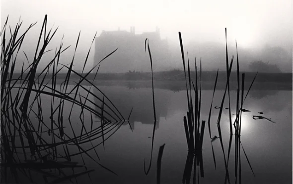 Foggy Nature Dramatic Textured High Contrast Mysterious