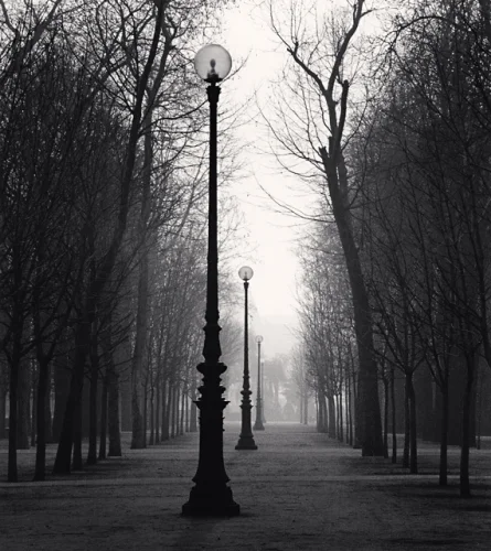 Foggy Pathway Trees Lamp Posts Dramatic Atmospheric Mysterious