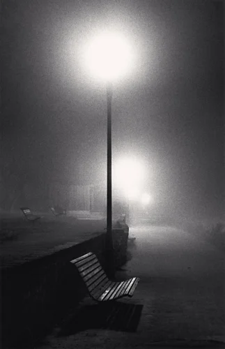 Foggy Street Bench Dramatic Atmospheric