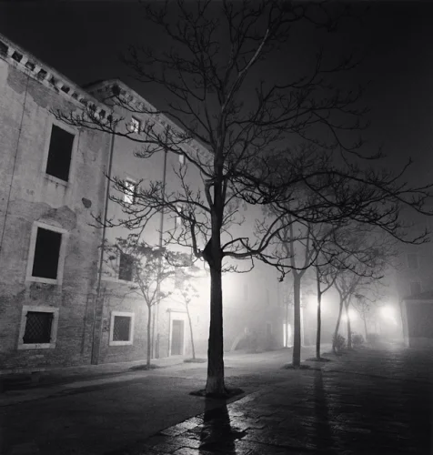 Foggy Street Dramatic Atmospheric Cityscape