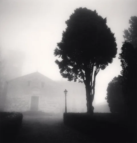 Foggy Tree Building Dramatic Atmospheric Cityscape