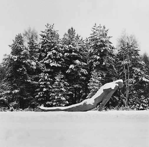 Forest Snowy Trees Statue Winter
