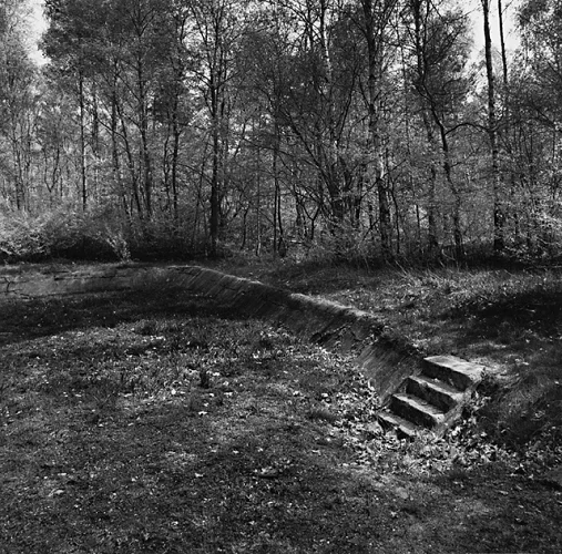 Forest Steps Ruins Dramatic Textured High Contrast Mysterious