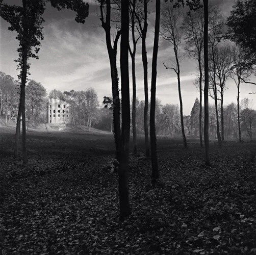 Forest Tall Trees Leaves Ground Building Nature Dramatic
