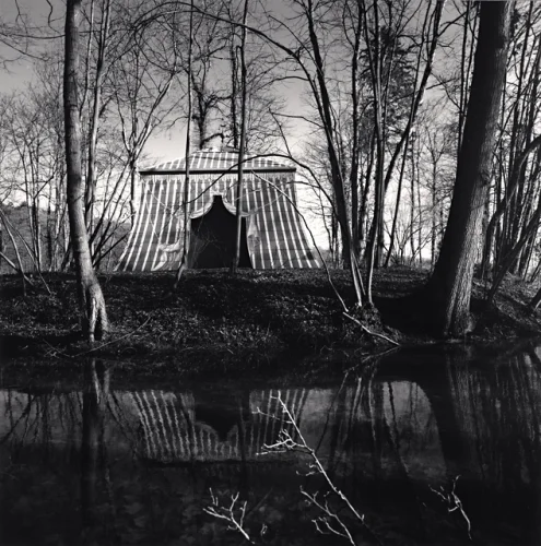 Forest Tent Striped Dramatic Mysterious Nature