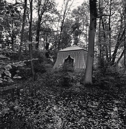 Forest Tent Striped Dramatic Mysterious Nature