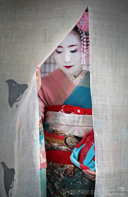 Furisode Kimono Red Floral Geometric Elegant Ceremonial