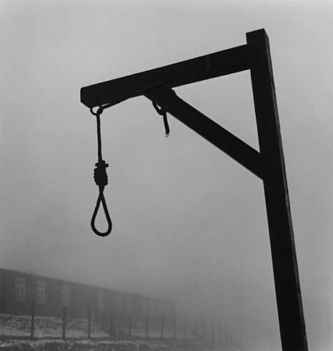 Gallows Hanging Rope Foggy Dramatic Mysterious